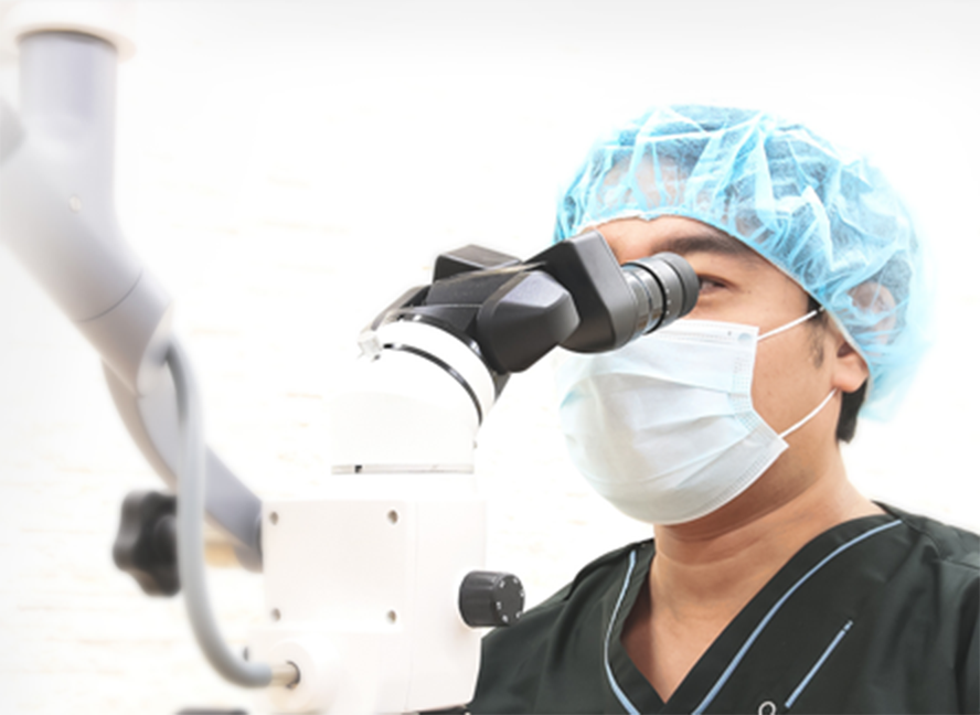 歯の健康を守る